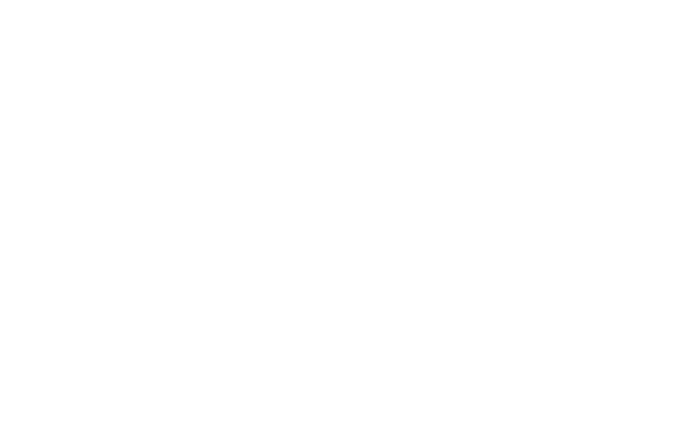 Hassoun Neurospine Clinic